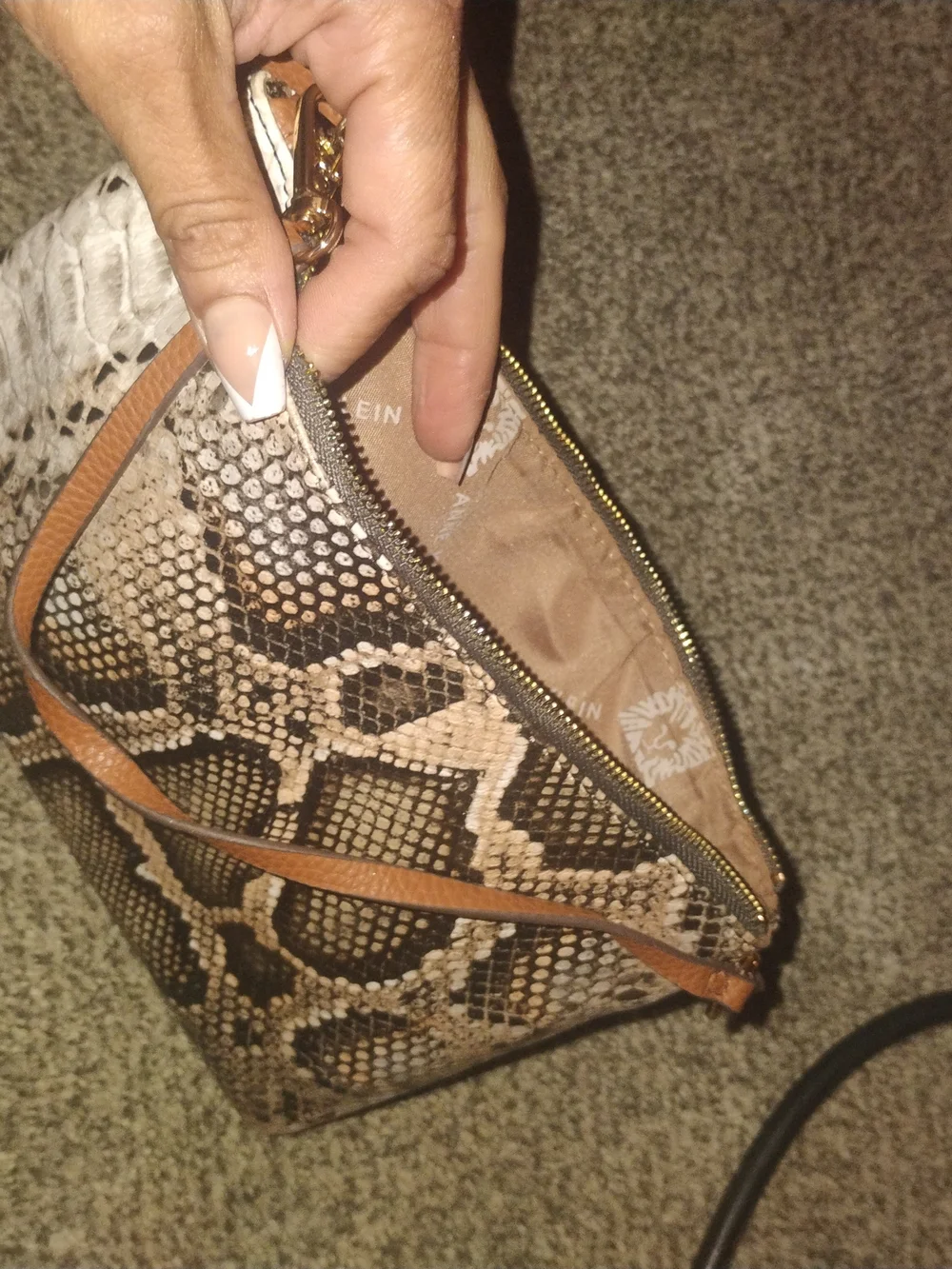 Anne Klein Snake-Print Cosmetic Bag in Brown and Tan